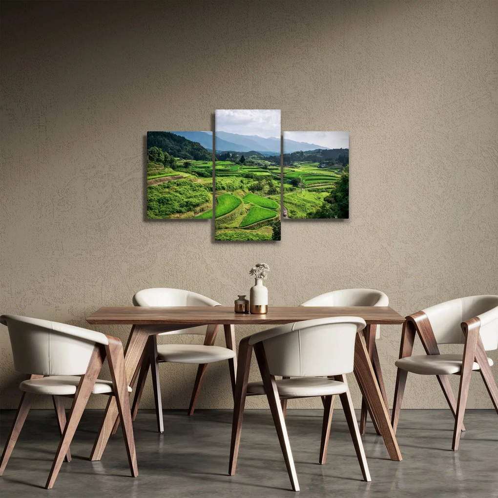 Obraz ryžových polí (90x60 cm)