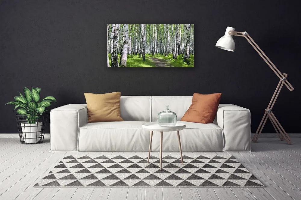 Obraz na plátne Les chodník príroda 125x50 cm