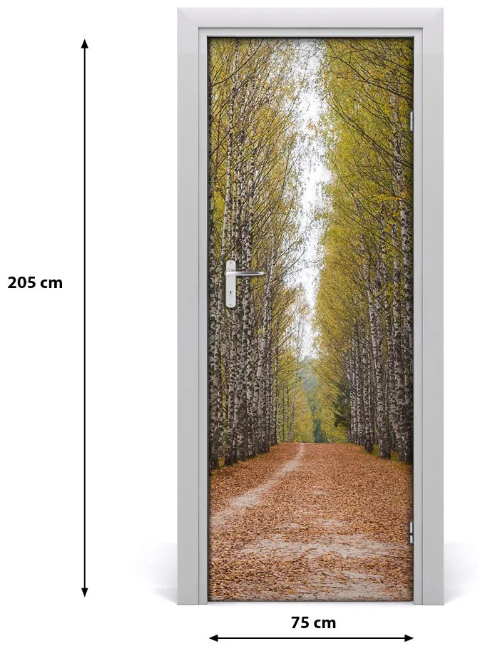 Fototapeta na dvere samolepiace Břízová les 75x205 cm