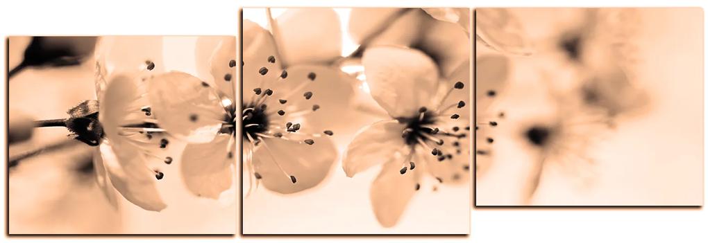 Obraz na plátne - Malé kvety na vetve - panoráma 5173FE (120x40 cm)
