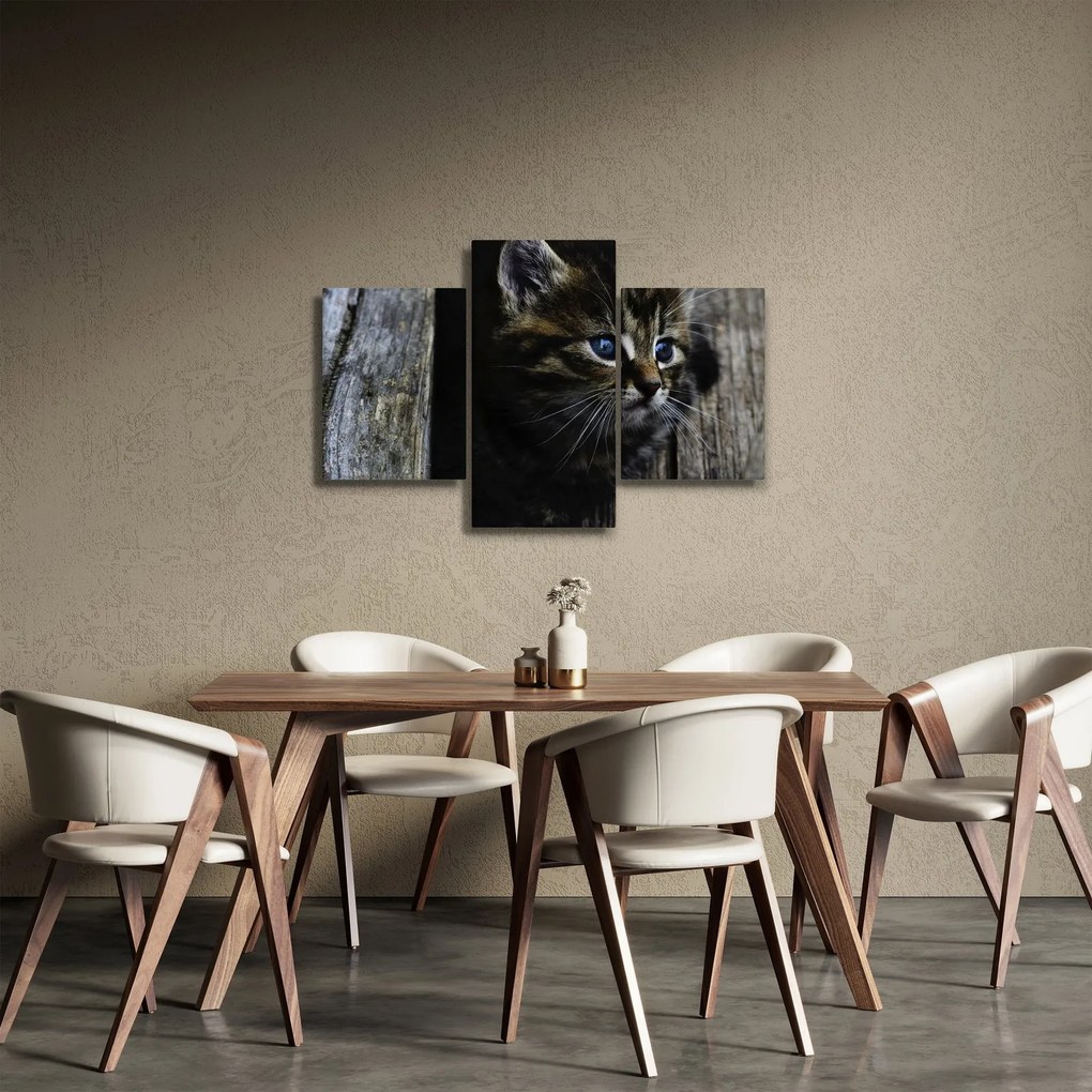 Obraz mačiatka (90x60 cm)