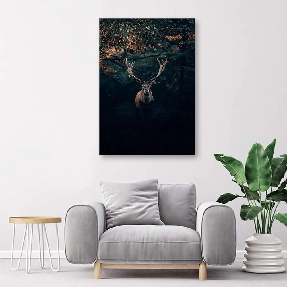 Obraz na plátně Jelen Les Příroda Zvířata - 60x90 cm