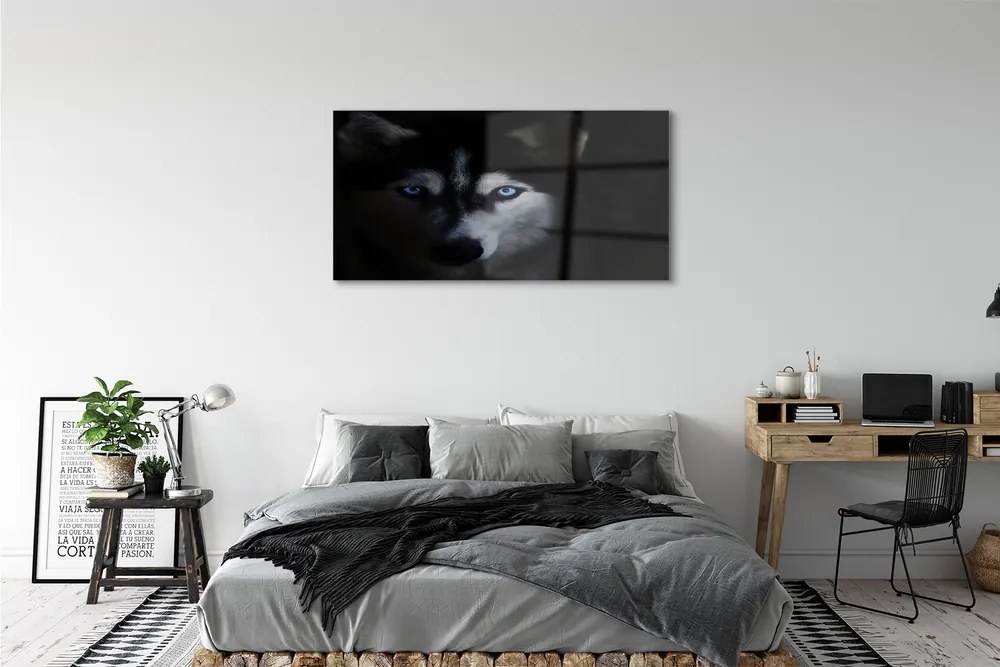 Obraz na akrylátovom skle Wolf eyes 125x50 cm
