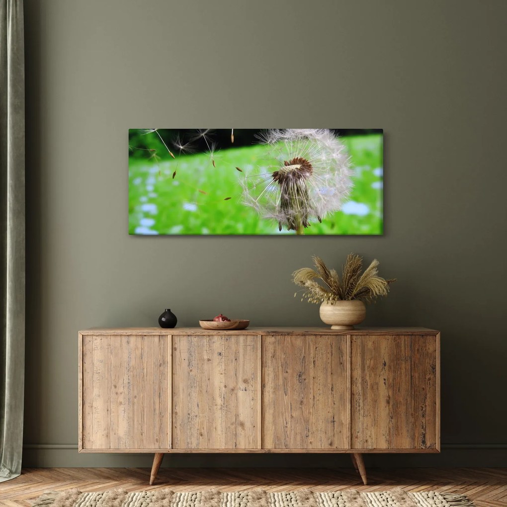 Obraz púpavy (120x50 cm)
