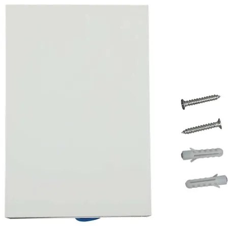 LED Vonkajšie nástenné svietidlo LED/4W/230V 6400K IP65 biela