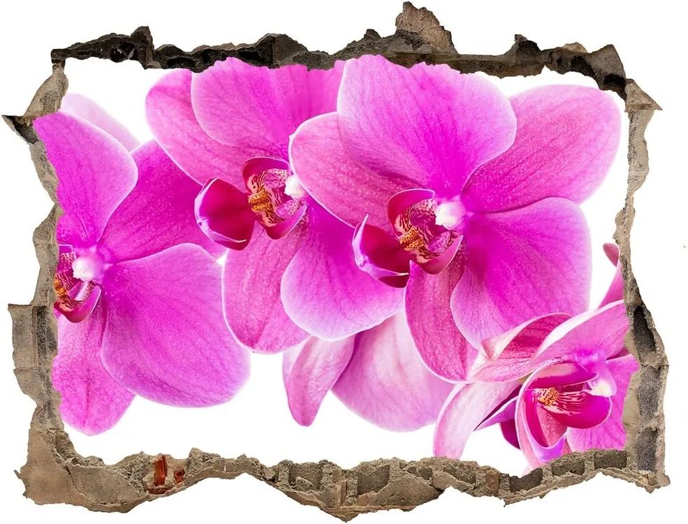 Samolepící díra nálepka Růžová orchidej WallHole-95x64-kamien-67673367