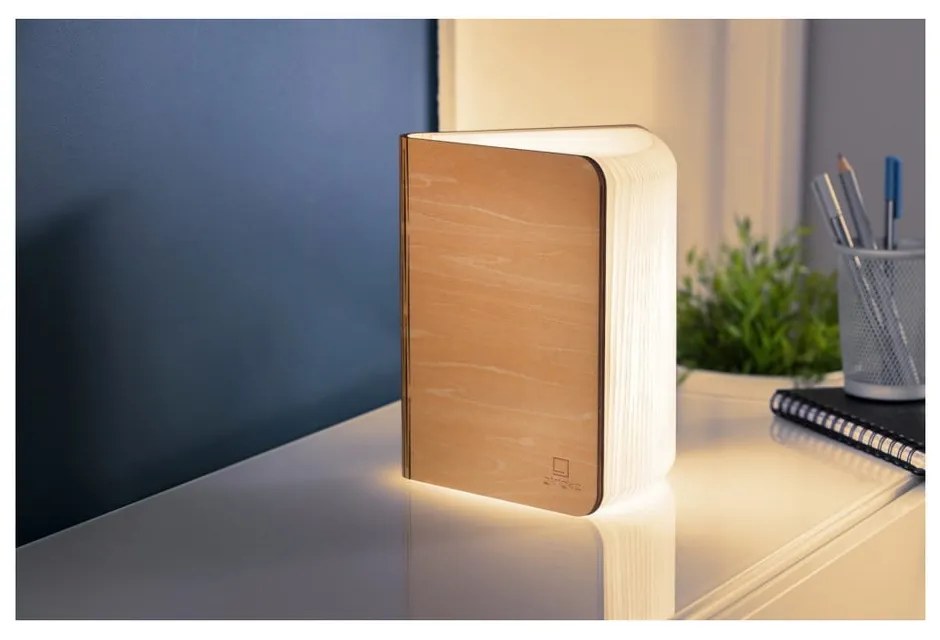Svetelná dekorácia na USB v prírodnej farbe Booklight – Gingko