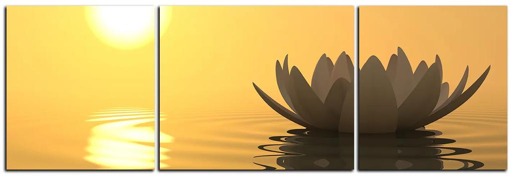 Obraz na plátne - Zen lotus - panoráma 5167C (90x30 cm)