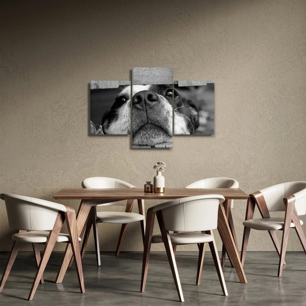 Obraz psa (90x60 cm)