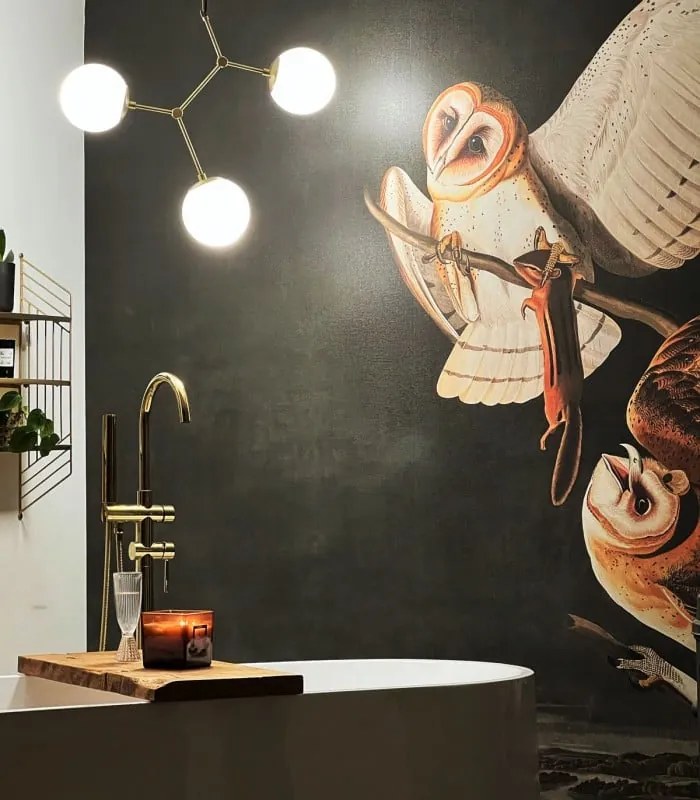 WALLCOLORS Owls wallpaper - tapeta POVRCH: Wallstick