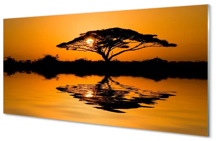 Obraz na skle Sunset tree 140x70 cm