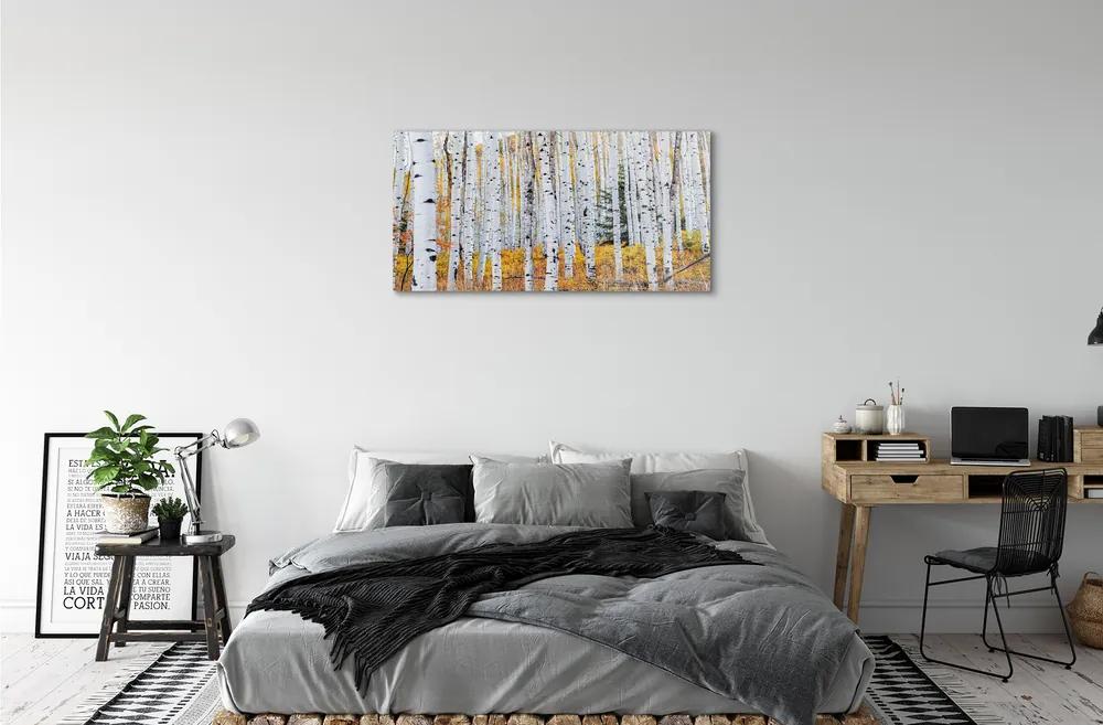 Obraz plexi Jesene breza 100x50 cm