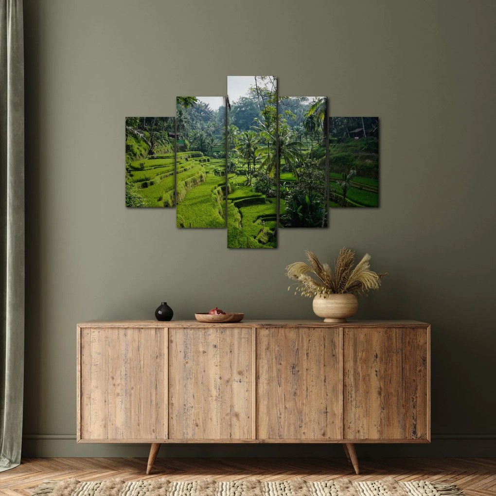 Obraz ryžových terás Tegalalang, Bali (150x105 cm)