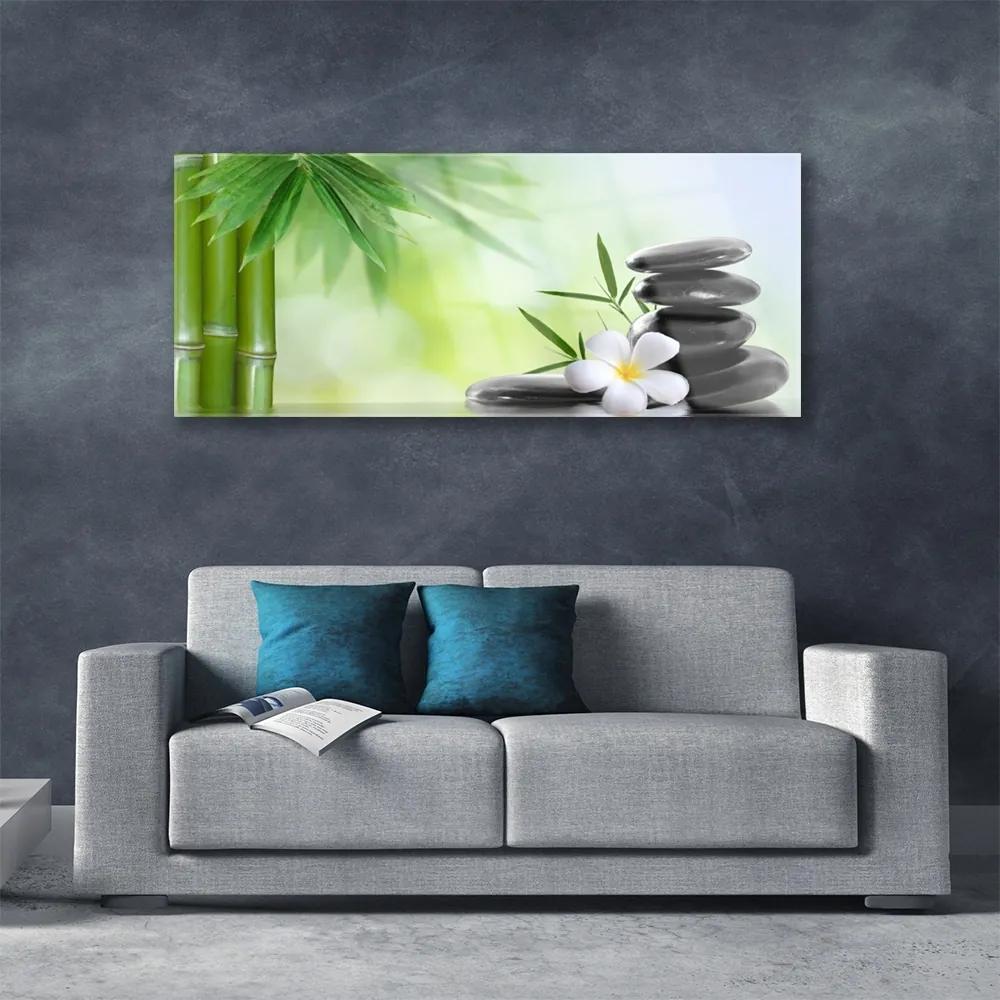 Obraz na akrylátovom skle Bambus stonka kvet rastlina 125x50 cm