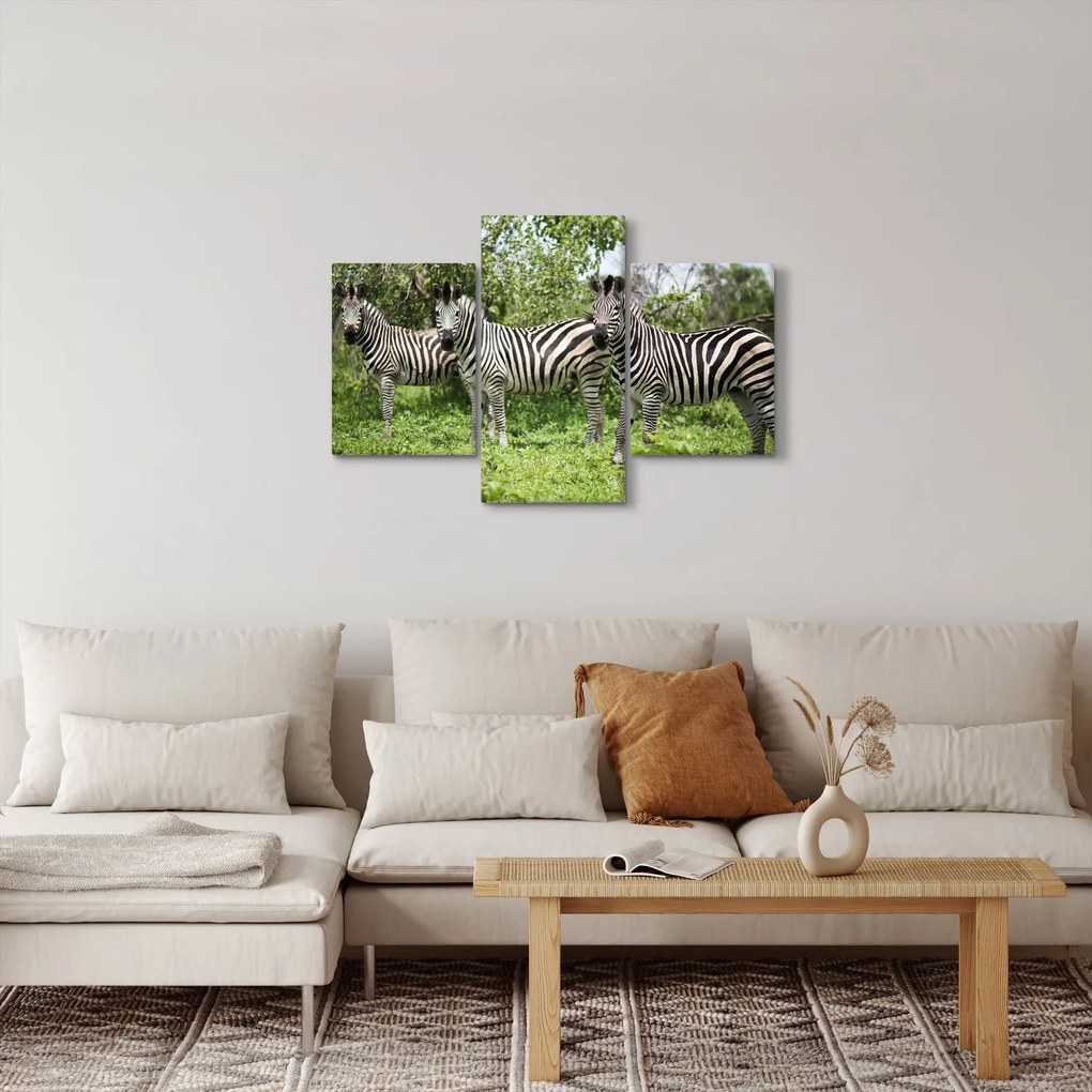 Obraz so zebrami (90x60 cm)