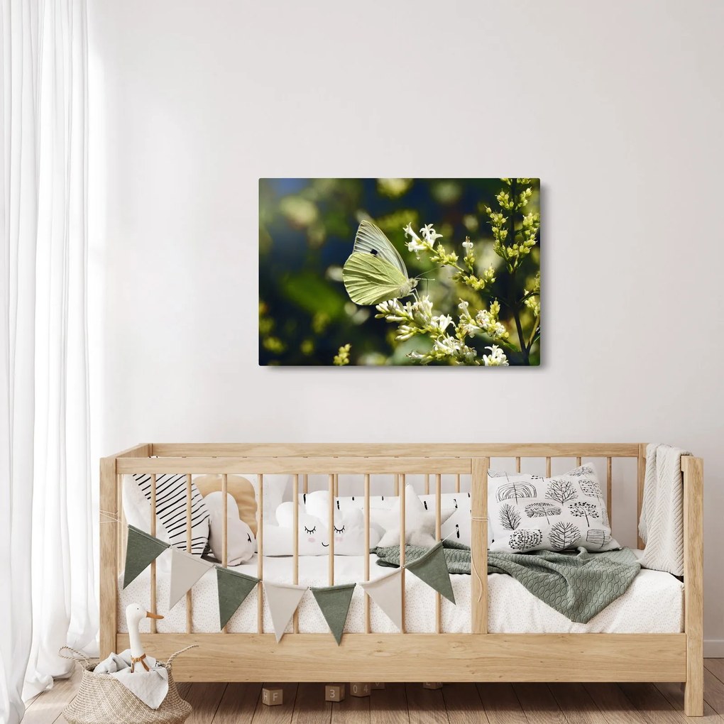 Obraz motýľa (90x60 cm)