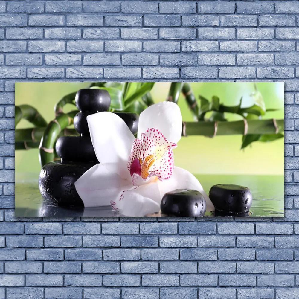 Obraz plexi Orchidea kamene bambus 120x60 cm