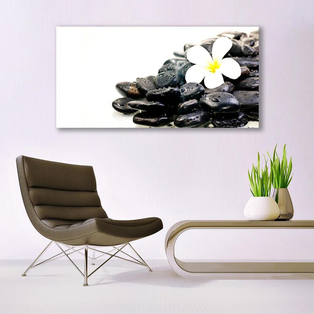 Obraz plexi Kvety kamene umenie 120x60 cm