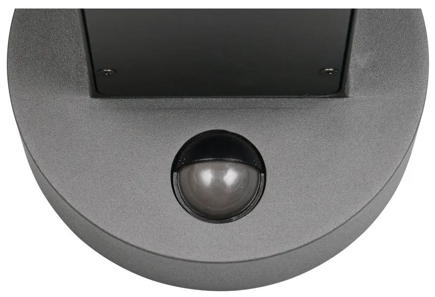 Nástenné vonkajšie svietidlo (výška 24,5 cm) Fraser – Trio