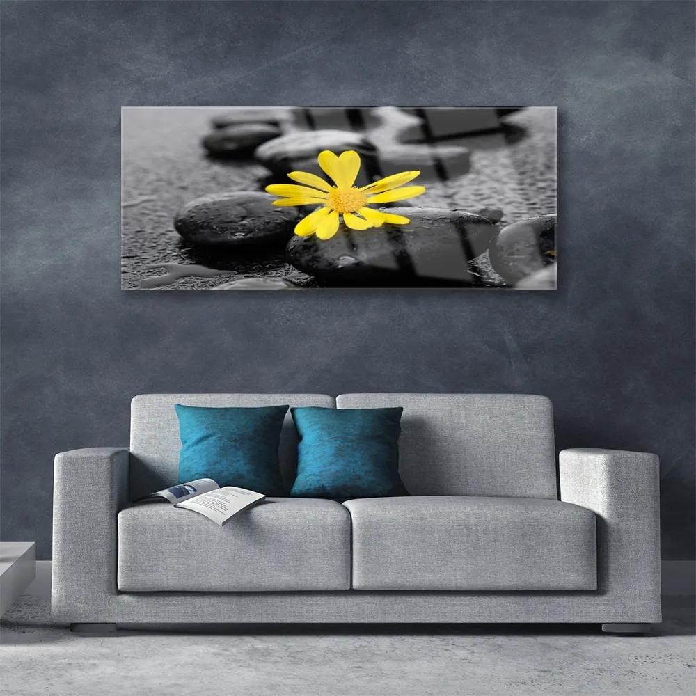 Obraz plexi Kvet kamene rastlina kúpele 125x50 cm