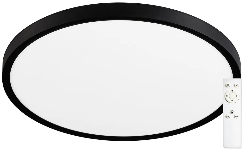 TOP LIGHT Stropné svietidlo Revit 40C RC, Čierna