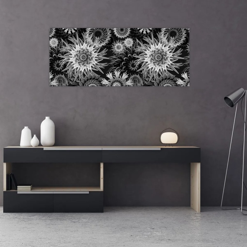 Obraz - Čiernobiele bodliaky (120x50 cm)