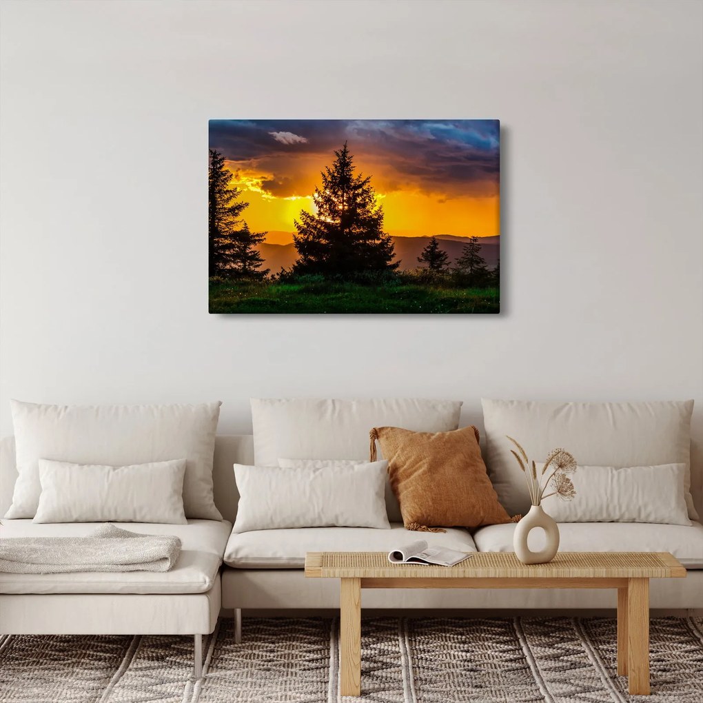 Obraz - ihličnany (90x60 cm)