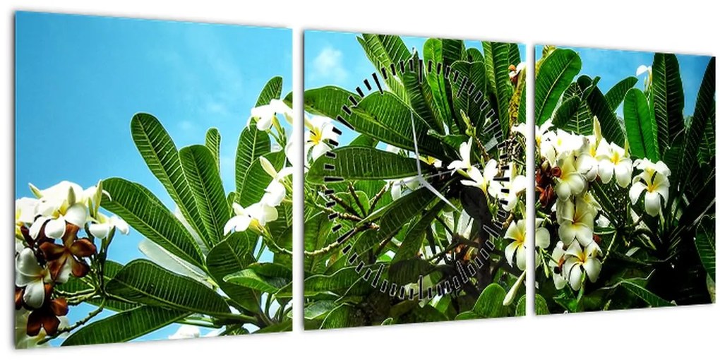 Obraz - Plumeria (s hodinami) (90x30 cm)