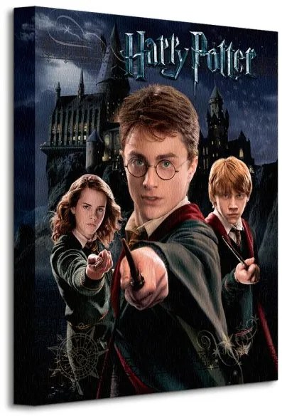 Art Group Obraz na plátne Harry Potter (Harry, Ron, Hermiona) Veľkosť: 30 x 40 cm