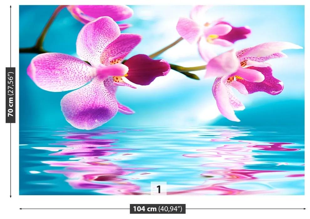 Fototapeta Vliesová Voda orchidea 208x146 cm