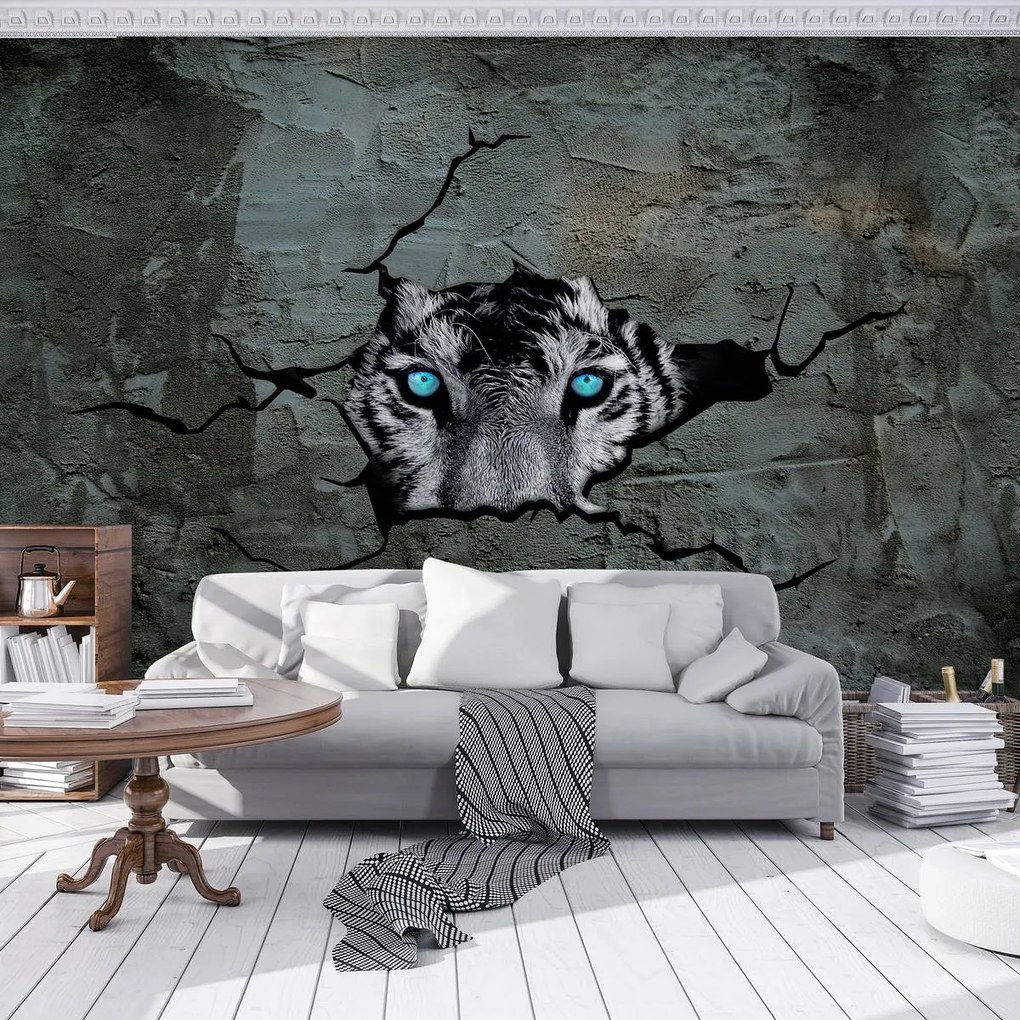 Fototapeta - Tiger s modrými očami (254x184 cm)