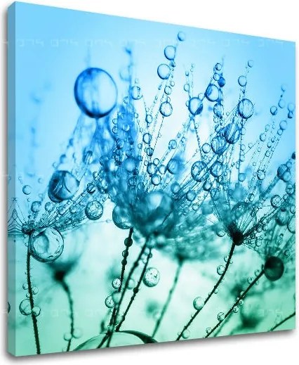 Obraz na stenu KVETY