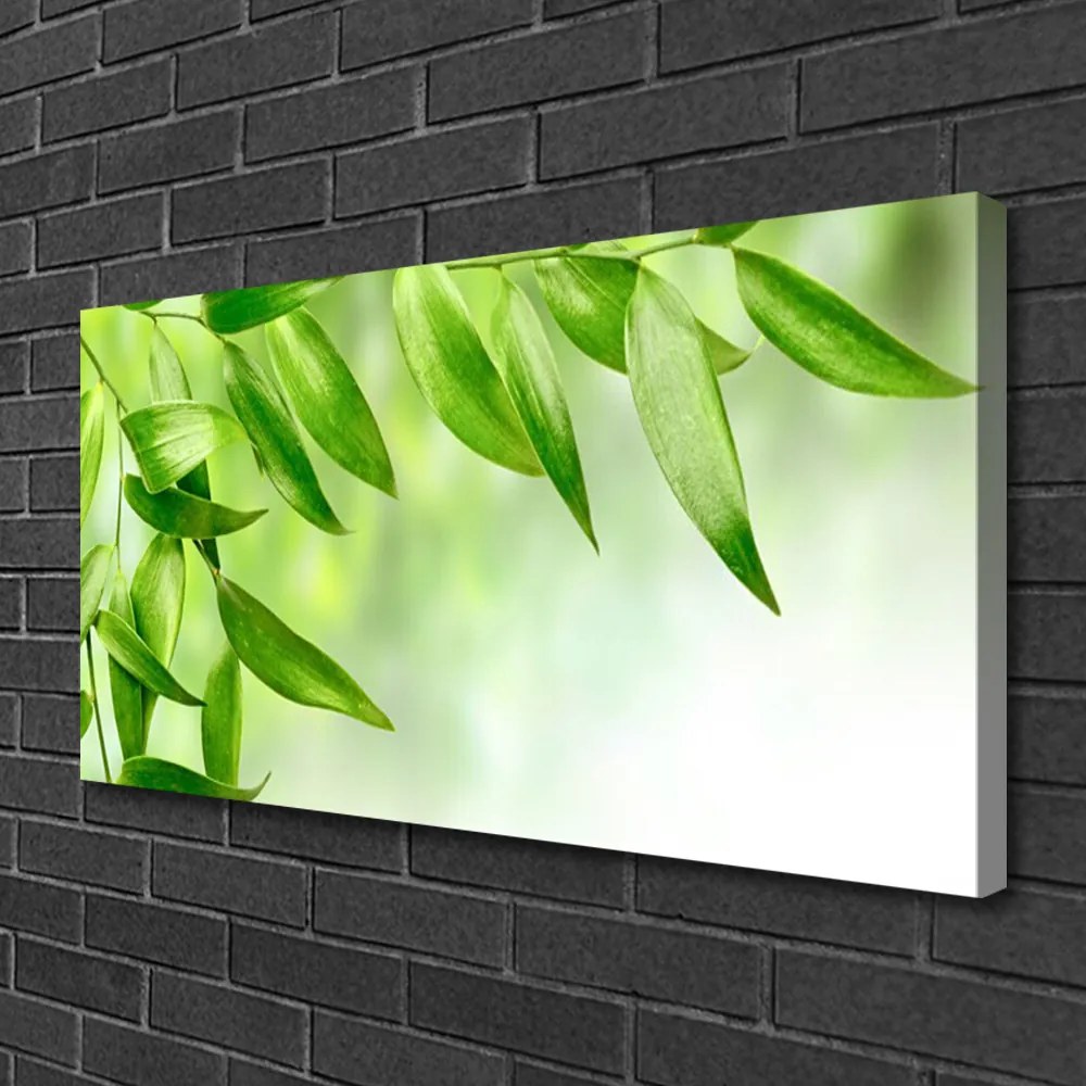 Obraz Canvas Zelené listy príroda 140x70 cm