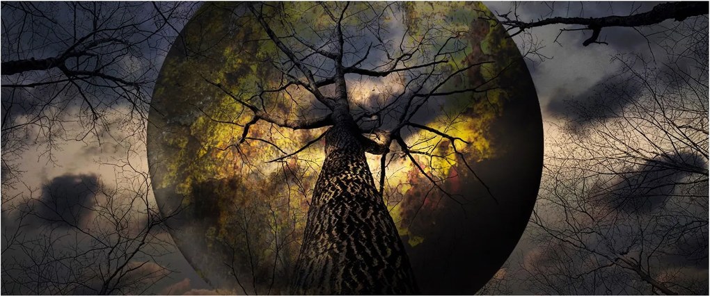 Obraz - Záhadné nebo (120x50 cm)
