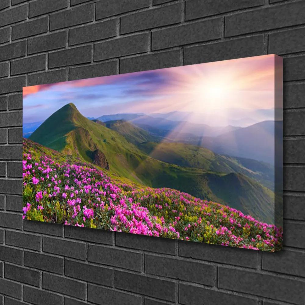 Obraz Canvas Hory lúka kvety príroda 120x60 cm
