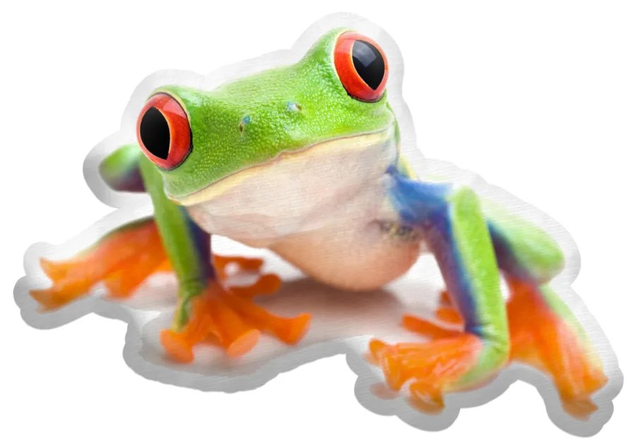 Sablio 3D vankúš Žaba