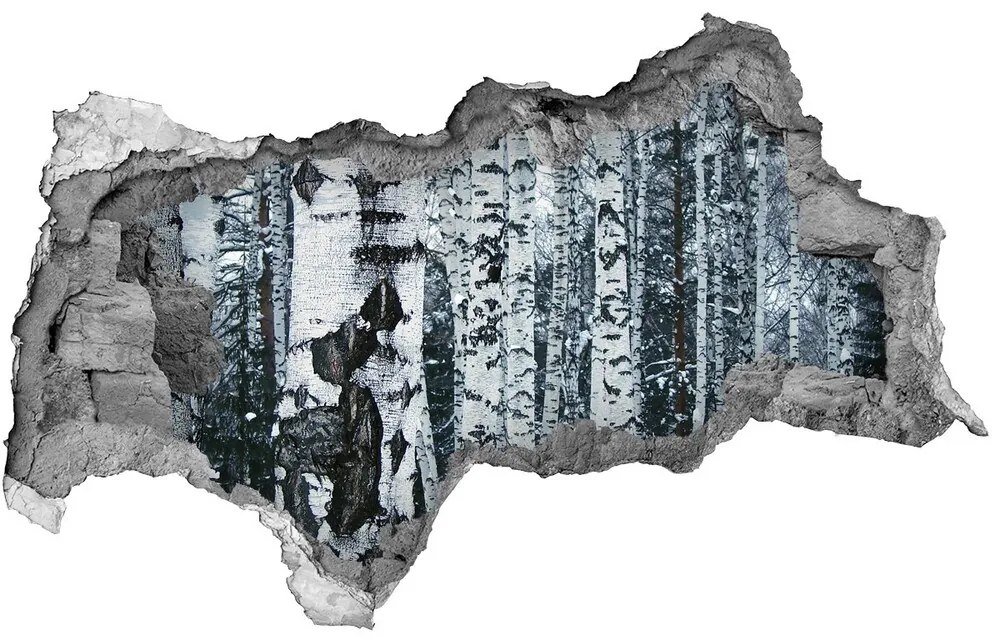 Samolepiaca diera na stenu Breza nd-b-60759693