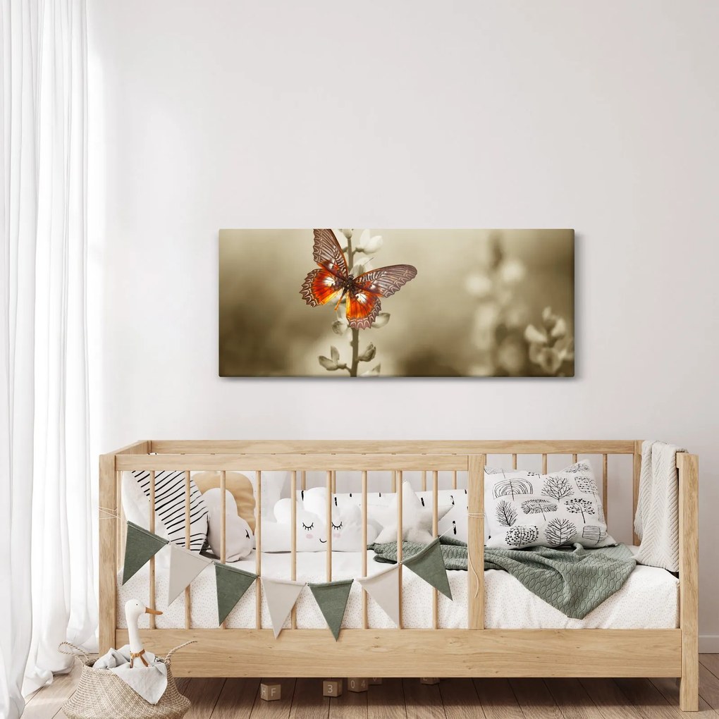 Obraz motýľa (120x50 cm)