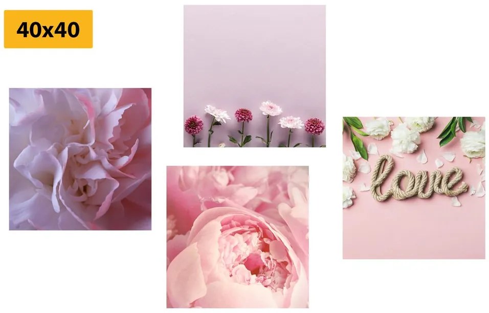 Set obrazov kvety v jemnom ružovom odtieni