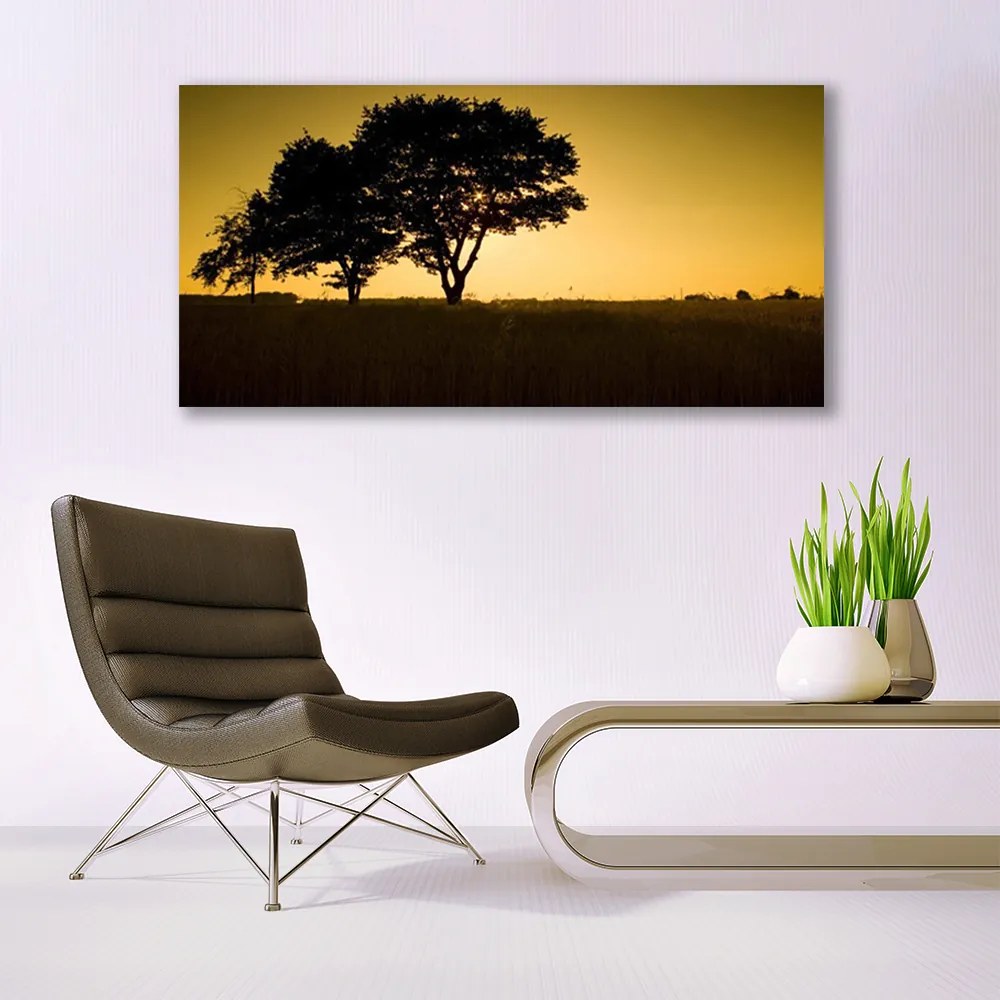 Obraz na akrylátovom skle Stromy príroda rastlina 120x60 cm