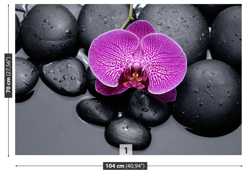 Fototapeta Vliesová Orchidea kamene 250x104 cm