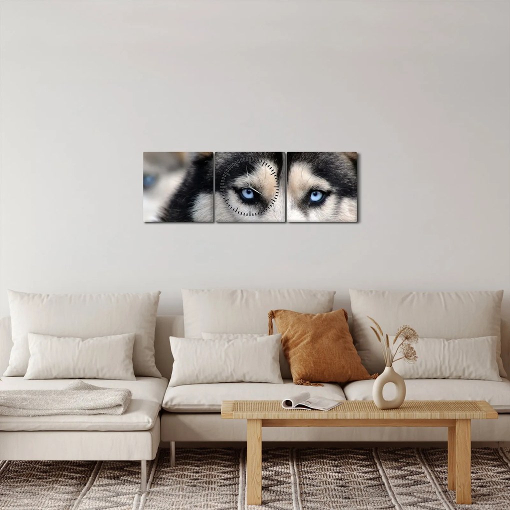 Obraz psa husky (s hodinami) (90x30 cm)