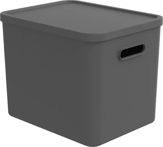 Rotho 2. akosť - Úložný box, rovný s vekom, 27l, antracit ALBU LIGHT, 37x29x30 (biele veko)