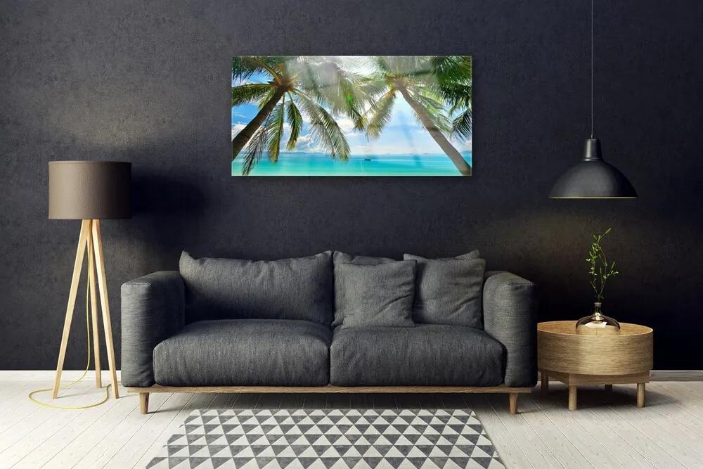 Skleneny obraz Palma strom more krajina 120x60 cm