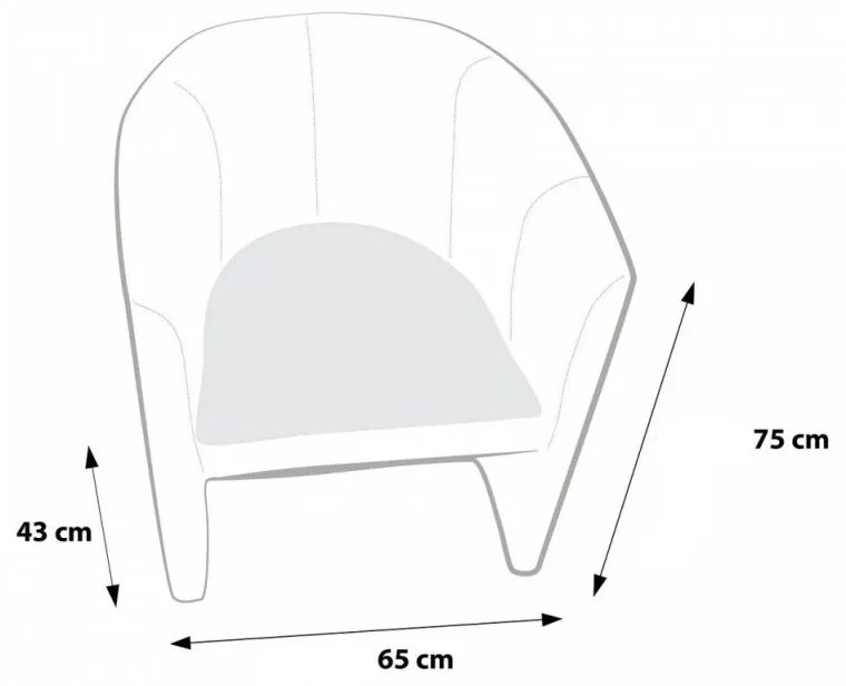 EF7023 Ecopuf Kreslo - Ecopuf - HOKER - PREMIUM hovädzia koža B2