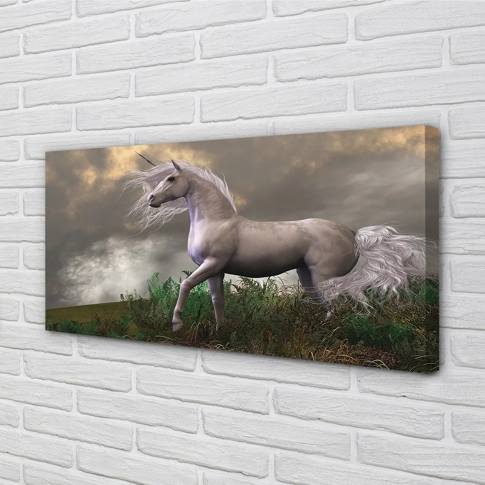 Obraz canvas Unicorn mraky 140x70 cm