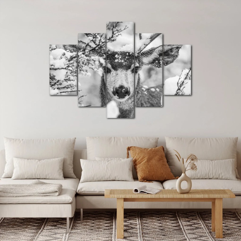 Obraz - Jeleň v zime (150x105 cm)