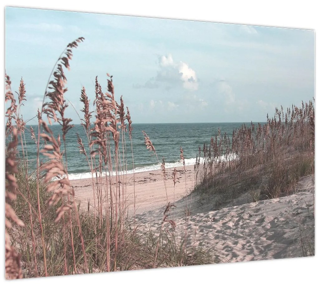 Obraz - Ružová pláž (70x50 cm)