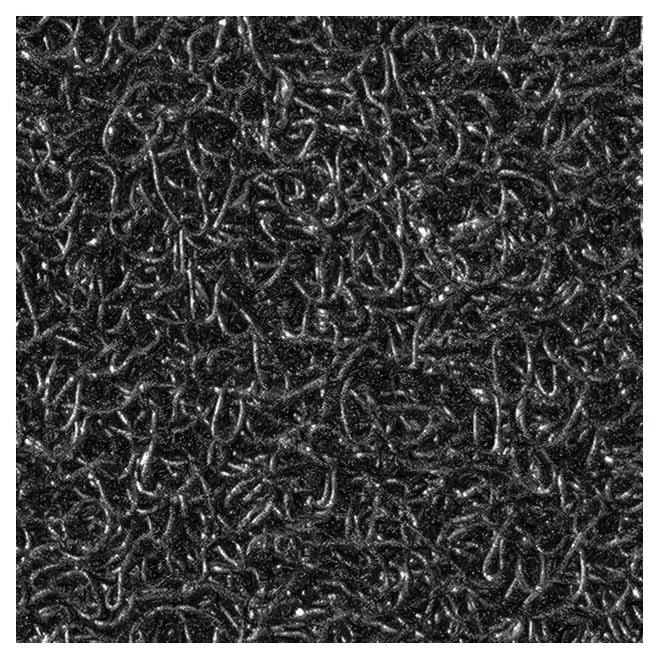 Jutex Rohož Bristol čierna, Rozmery 0.75 x 0.50