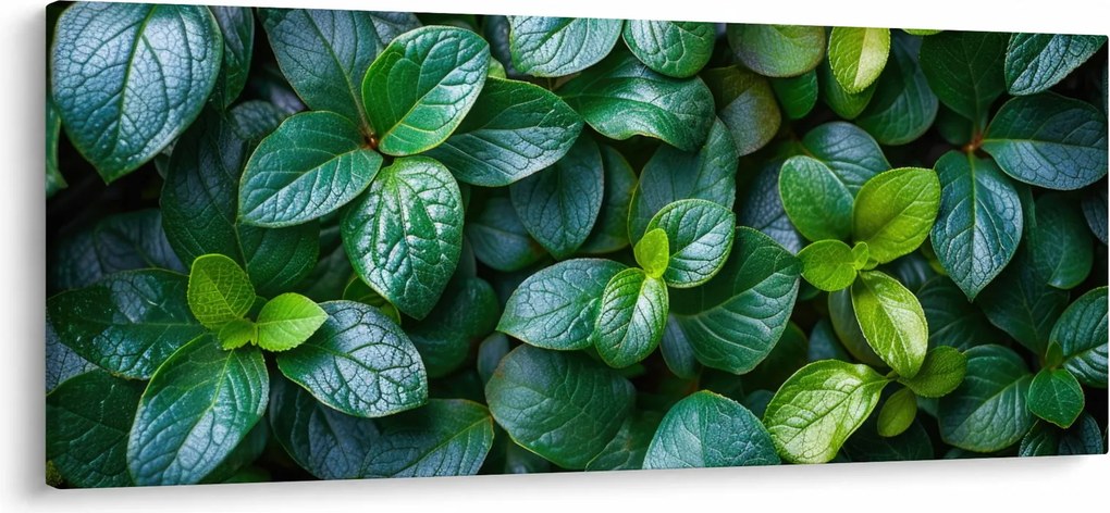 Obraz - Zelené rastliny (120x50 cm)